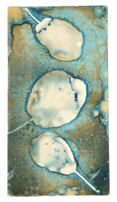 cykl5